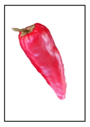 Chile Comapenor Pepper