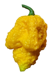 Yellow Fever Pepper