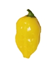 Puerto Rican Yellow Pepper