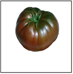 Black Krim Tomato Plant