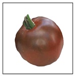 Black Russian Tomato Plant