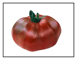 Paul Robeson Tomato