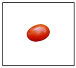 Jelly Bean Red Tomato