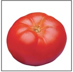 Beefmaster Tomato