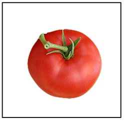 Jetsetter Tomato