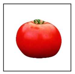 Mountain Fresh Tomato