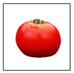 Mountain Pride Tomato