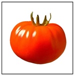 Big Zac Tomato