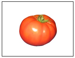 Park's Whopper Tomato
