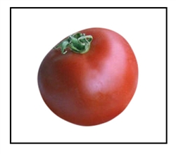 Clint Eastwood's Rowdy Red Tomato