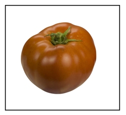 Legend Tomato