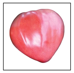 Oxheart Pink Tomato