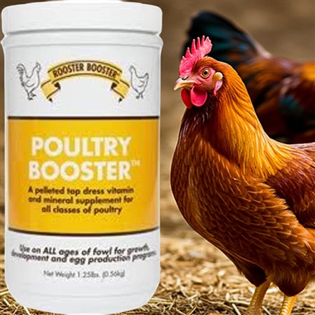 Rooster Booster Poultry Booster 1.25 lb â€“ Vitamin and Mineral Pellet Supplement for Chickens and Poultry