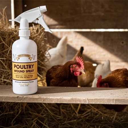 Rooster Booster Poultry Wound Spray 16 oz â€“ All-Natural Antiseptic Healing Spray for Chickens