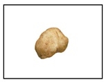 Close-up image of smooth, white-skinned White Kennebec Seed Potatoes, ready for planting in the garden.