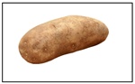 Canela Russet Seed Potatoes