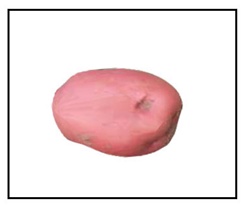 Close-up view of smooth, red-skinned Red Pontiac Seed Potatoes ready for planting, showcasing their round to oblong shape and white flesh.
