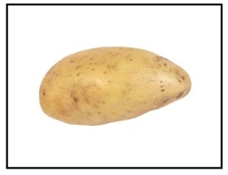 Close-up image of smooth, golden Yukon Gold Seed Potatoes, ready to be planted in the garden.