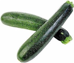 Freshly harvested Black Beauty Zucchini squash with dark green skin