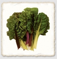 Bright Lights Swiss Chard with colorful stalks in red, yellow, pink, and orange growing in a garden bed