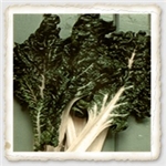 Fordhook Giant Swiss Chard Seed