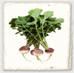 Purple Top Turnip Seed