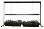 <SPAN style="FONT-FAMILY: Arial; COLOR: #006000; FONT-SIZE: 14pt; FONT-WEIGHT: bold">JUMP START LIGHT SYSTEMS 48"</SPAN>