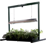 <SPAN style="FONT-FAMILY: Arial; COLOR: #006000; FONT-SIZE: 14pt; FONT-WEIGHT: bold">JUMP START LIGHT SYSTEMS 24"</SPAN>