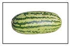 Jubilee  Watermelon