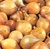 Yellow Stuttgarter-Type Onion Sets 1/4 lb. Bulbs