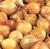 Close-up of 1/4 lb. long day yellow Stuttgarter-type onion sets with smooth golden skins ready for planting.