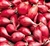 Close-up of Red Wethersfield onion sets / buls (1/4 lb. Long Day)  ready for planting on garden soil.