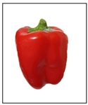 Cajun Belle sweet and hot peppers ready to harvest