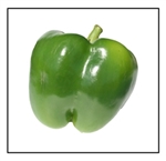 Large green California Wonder pepper