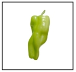 A light green Cubanelle  pepper.