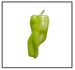 A light green Cubanelle  pepper.