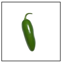 A  green Jalapeño M pepper
